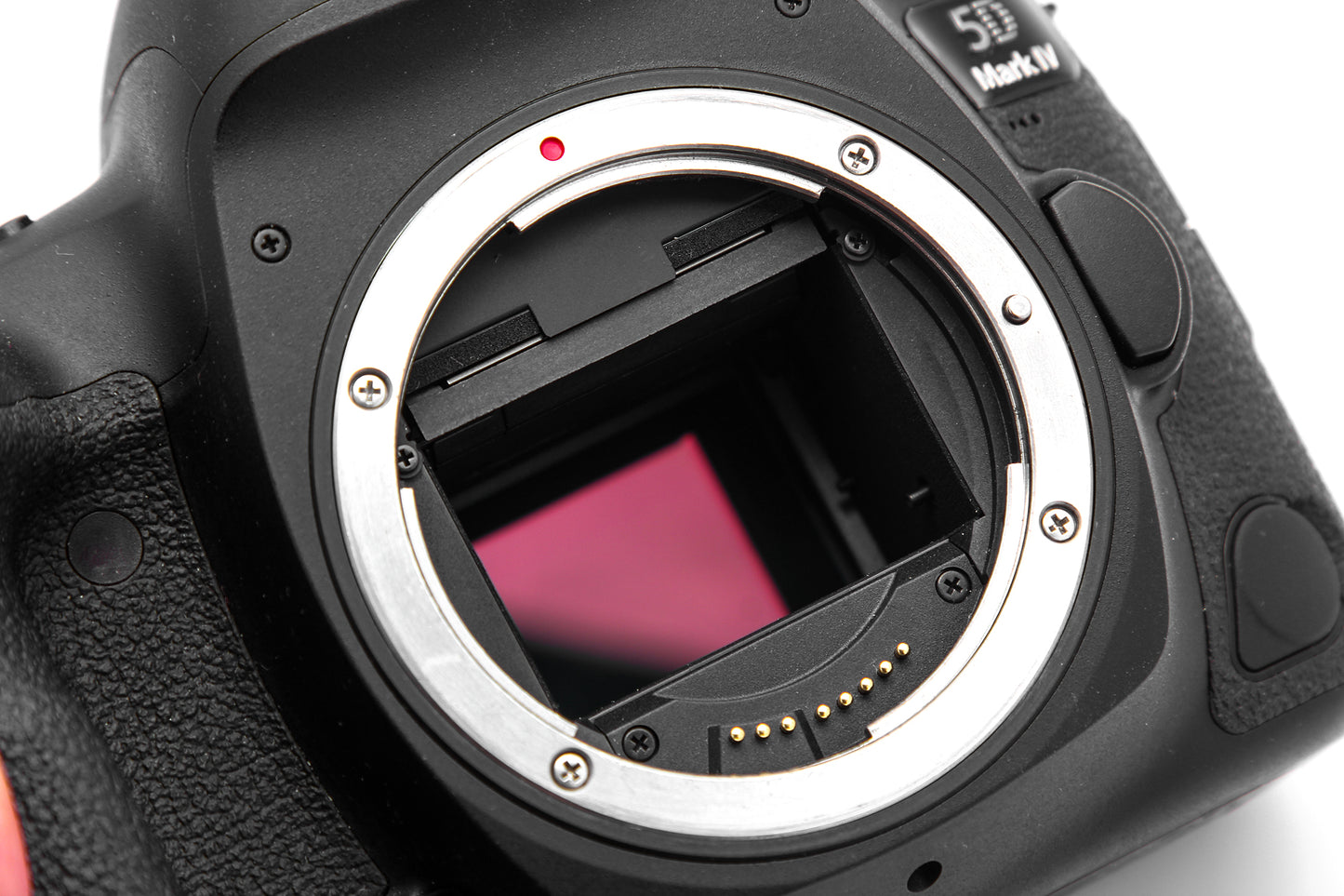 Used Canon 5D IV 30.4 MP Camera