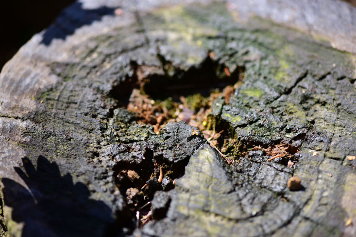 Used Nikon 105mm f/2.8G VR Micro Lens