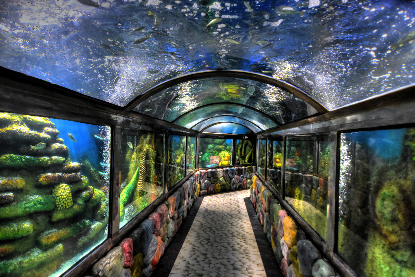 Used Tokina 11-16mm f/2.8 Pro DX Lens for Canon