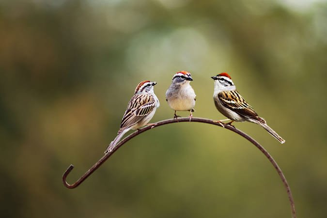 Used Canon zoom EF 80-200mm F4.5-5.6