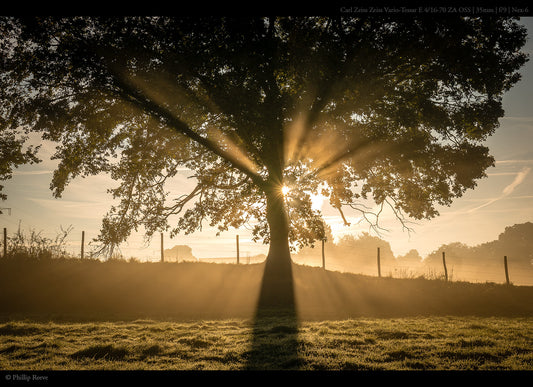 Used Sony 16-70mm E F4 ZA OSS Zeiss