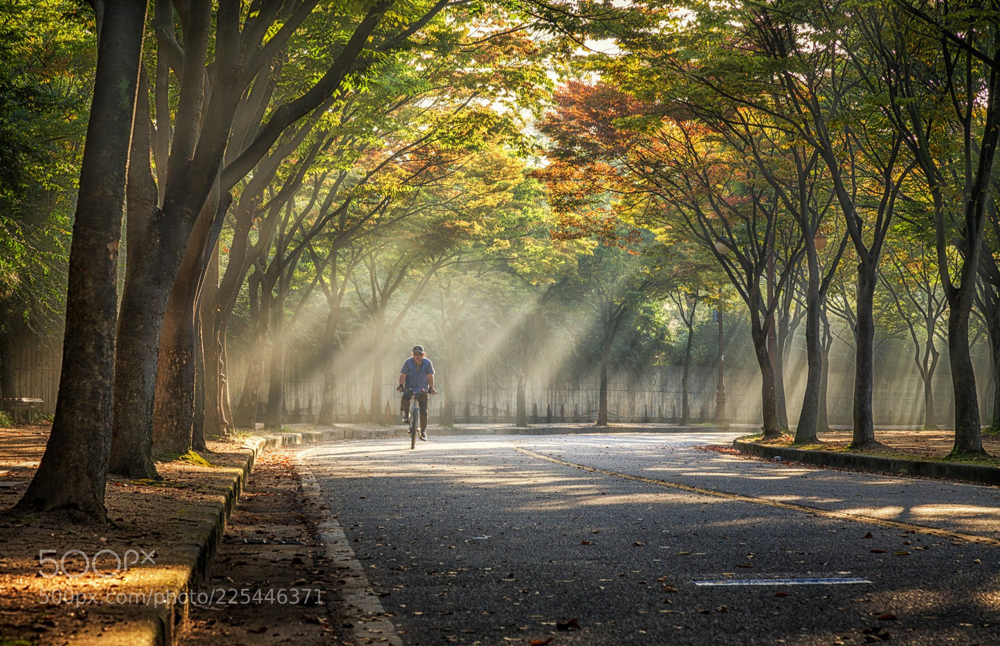 Used Canon EF 24-105mm f/4L IS USM Lens