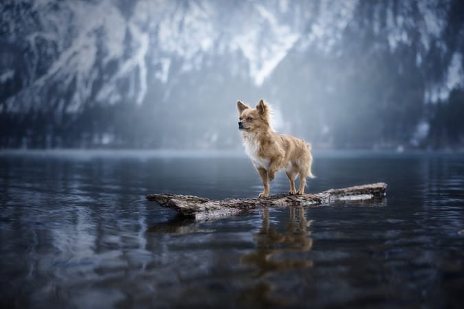 Used Nikon AF-S  50mm f/1.8G Lens