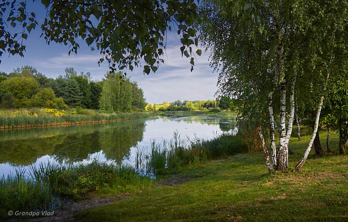 Used Canon Lens 18-55 mm STM Lens (White Color)