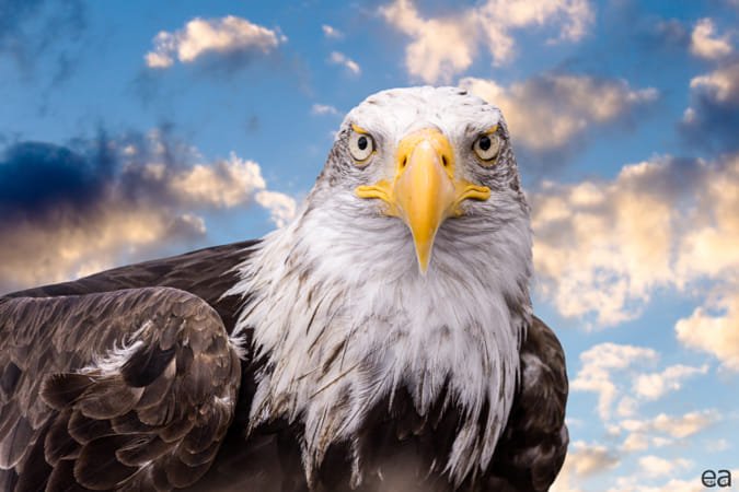 Used canon 55-250mm Lens