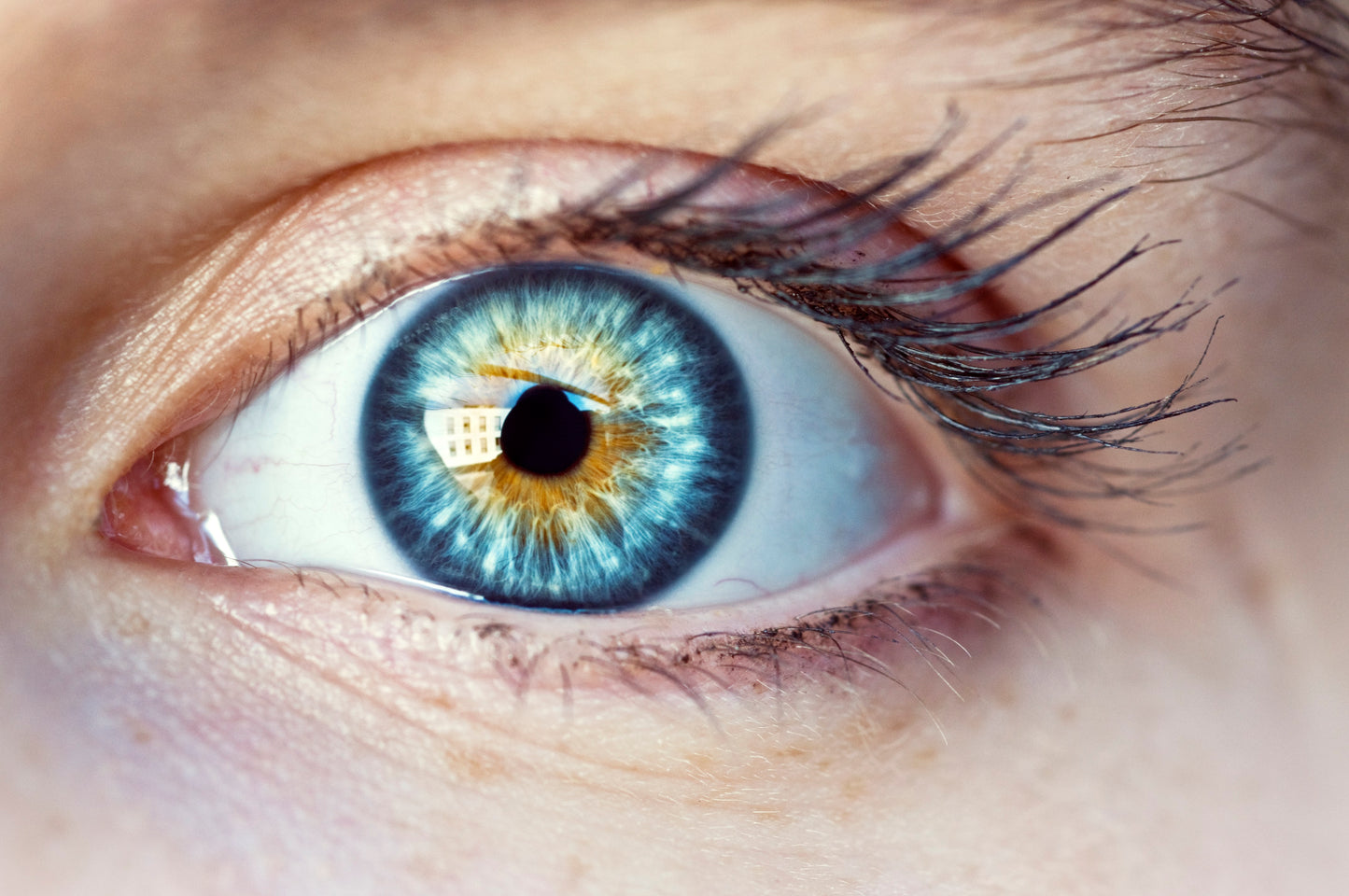 Used NIKON 60MM F/2.8G ED AF-S MICRO