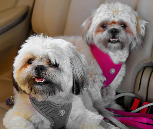 Used Canon EF-S 18-135mm IS USM Lens