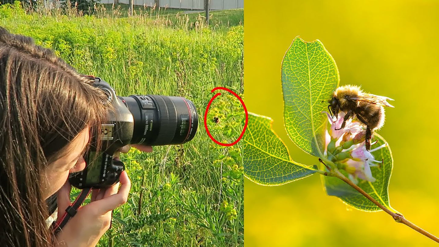 Used Canon Macro EF 100mm f/2.8L IS USM Lens
