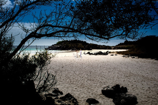 Used Canon EF 28-80mm f/3.5-5.6 II