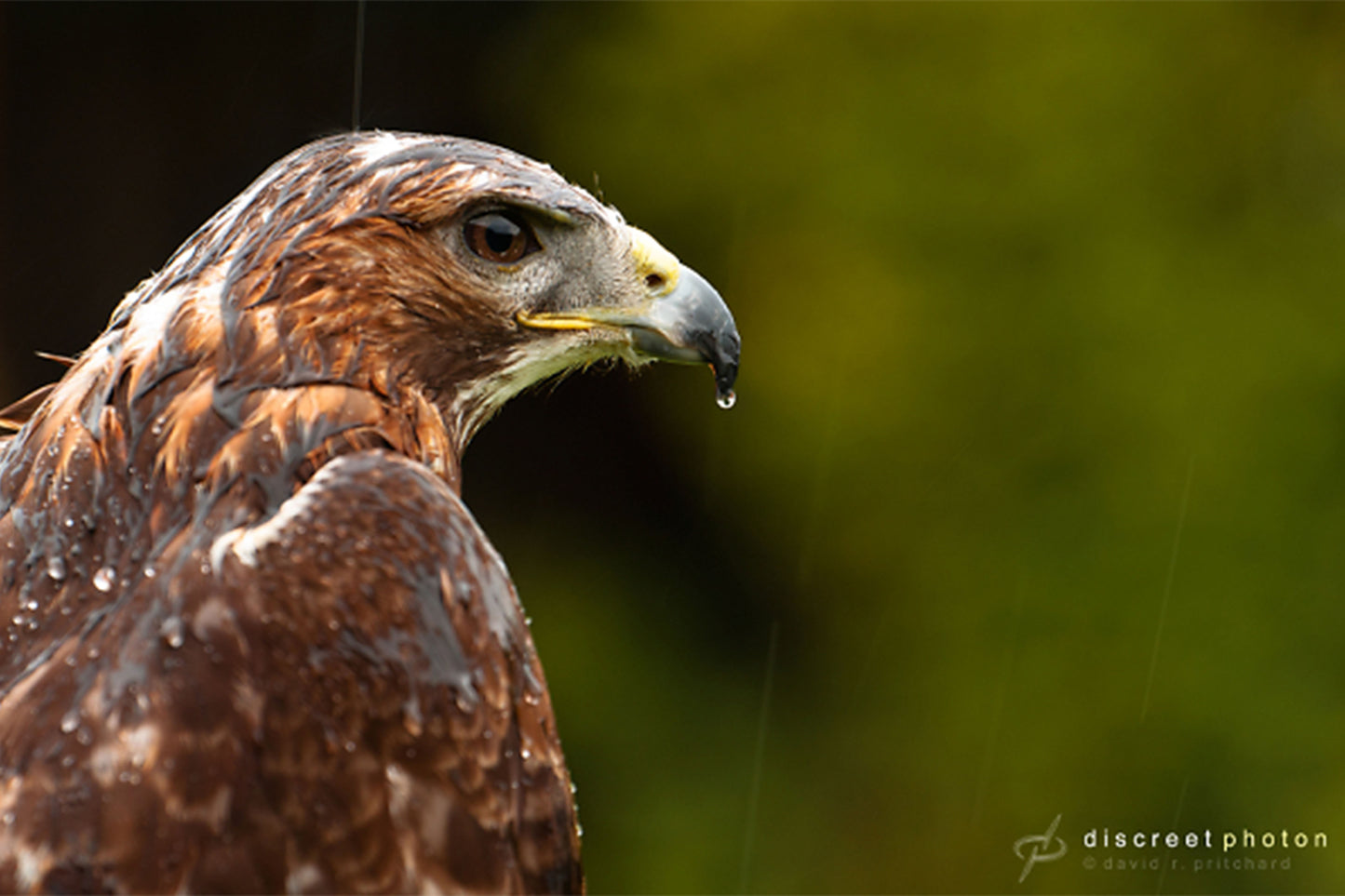 Used Tamron 70-200 f/2.8 IF MACRO EF Mount Lens for Canon