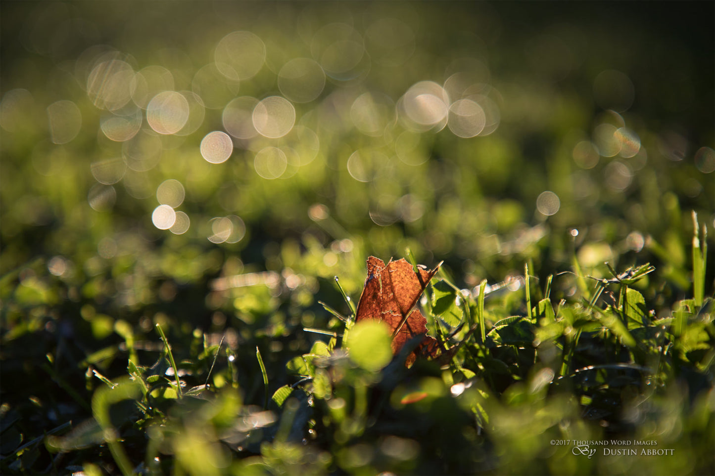 Used Canon EF 24-105mm F4L IS USM Lens