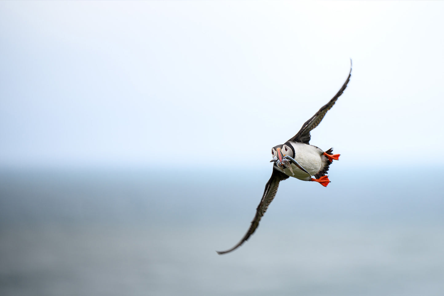 Used Sigma 70-200mm f/2.8 APO DG HSM Lens for Canon